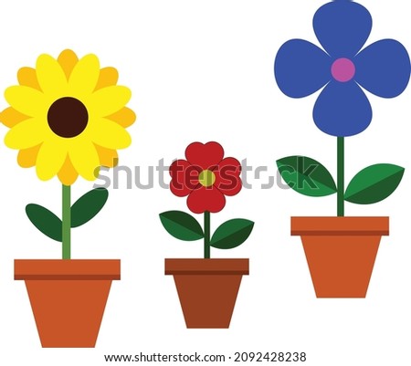 Three kind of flower type are beautifully illustrated. the first one is sunflower with its eye catching petals are grown in a brown pot. The second and third one are red and blue spring flowers