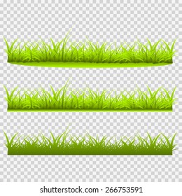 Three kinds of grass vector illustration