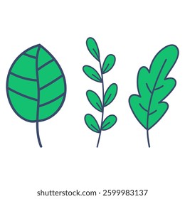 three kinds of green leaves vector illustration