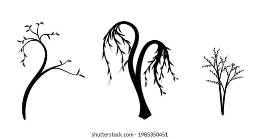Three kinds of silhouette trees graphic design on white background.