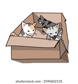 Three kittens in the box simple illustration