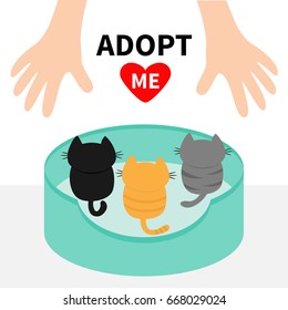 Three kittens looking up to human hand. Cat bed. Adopt me. Animal hug. Cute cartoon funny character. Red heart Helping hands concept Love card Flat design White background Isolated Vector illustration