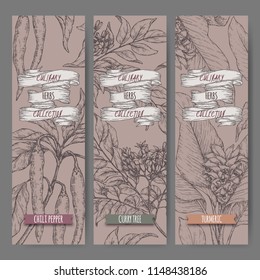 Three labels with chili pepper, curry tree and turmeric sketch. Culinary herbs collection. Great for cooking, medical, gardening design.