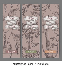 Three labels with Syrian oregano, sumac and nutmeg sketch. Culinary herbs collection. Great for cooking, medical, gardening design.