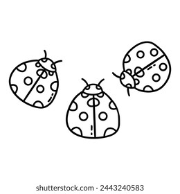 Three ladybugs. Cute insects with polka dots. Spring and summer season. Black and white vector isolated illustration hand drawn doodle. Coloring clip art