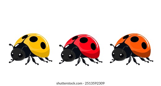 three ladybugs in yellow, red, and orange colors. Each ladybug features black spots and a glossy finish, set against a white background. Ideal for educational, nature, or children-theme Project.