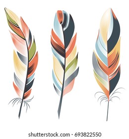 Three large bright feathers on a white background.