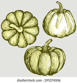 Three large pumpkins. Vector Image