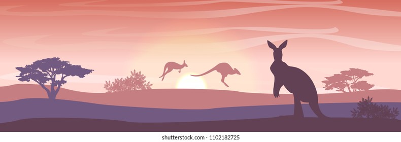 Three large red kangaroos on the Australian plains. Acacia trees and eucalyptus trees. Wild nature of Australia. Realistic vector landscape. Silhouettes of animals and plants. Travels
