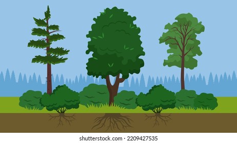 three large trees of different species