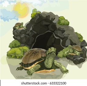 3,240 Turtle Cave Images, Stock Photos & Vectors | Shutterstock