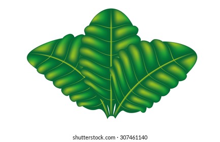 Three leaf