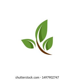 three leaf with branch logo. green leaf eco logo template - vector
