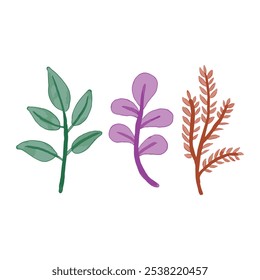 Vetor de ramos de três folhas - Arte botânica colorida