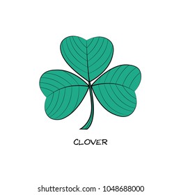Three leaf clover hand drawn icon. St. Patrick's day symbol. Vector illustration