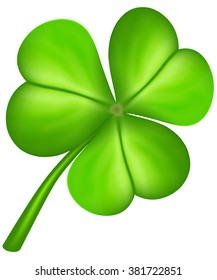 Three leaf clover isolated on white. Vector illustration