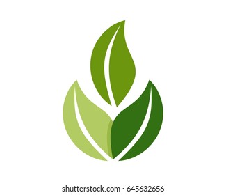 three leaf logo design 