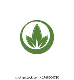 three leaf logo design. green leaf eco logo template - vector