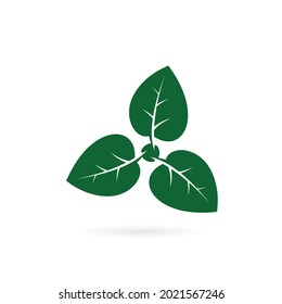 three leaf logo design symbol