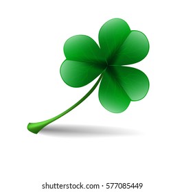 three leaf lucky clover isolated on white background