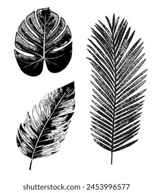 Three Leaf Tropical Illustration Vector