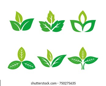 three leafs, plant, tree nature logo design