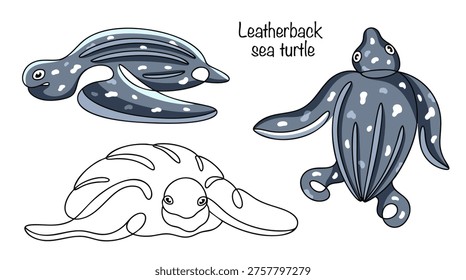 Three leatherback turtles, drawn in color and simply with line art. The largest sea turtle, the leatherback has an elongated body, a leathery shell, and longitudinal ridges on its back.