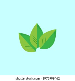 Three leaves against the sky