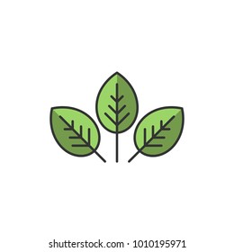 Three leaves eco icon. isolated on white. Vector illustration.  Green flat leaves. Leaf organic icon.