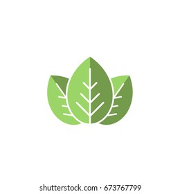 Three leaves eco icon. isolated on white. Vector illustration.  Green flat leaves. Leaf organic icon.