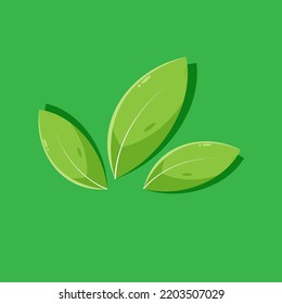 tres hojas con fondo verde