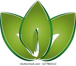 Three leaves in green logo