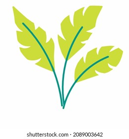 tres hojas con tallo verde sobre fondo blanco