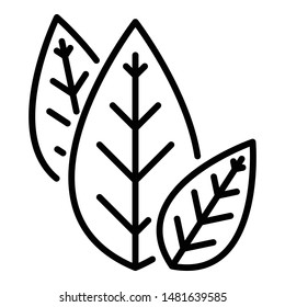 Three leaves icon. Outline three leaves vector icon for web design isolated on white background