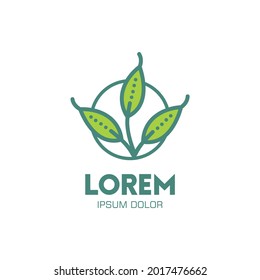 Three Leaves Illustration Logo Concept