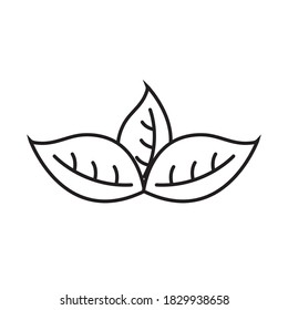 three leaves line style icon design of Natural floral nature and plant theme Vector illustration