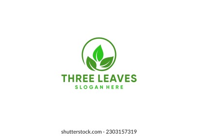 three leaves modern creative logo design