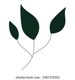 Three leaves on a twig of dark green color for use in web design