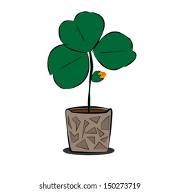 Three Leaves Plant