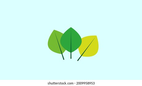 Three leaves in spring, summer and autumn