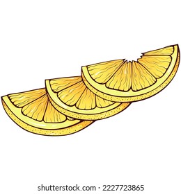 Three lemon slices. Vector color illustrations in hand drawn cartoon style. Fresh organic food isolated on white. Close up citrus fruit. Element for cookbook, sticker, design, print.