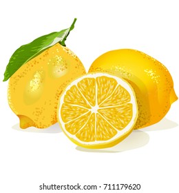 Three lemons on a white background. Vector illustration.