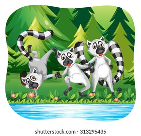 Three lemurs being happy by the river illustration