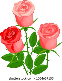 Three light red roses with green leaves and thorns