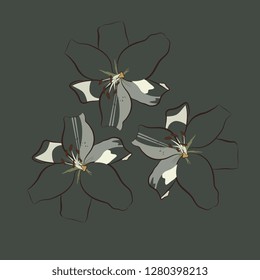 Three lily flowers with striped petals resemble fluttering butterflies on a dark dusty green background. Print for t-shirts.