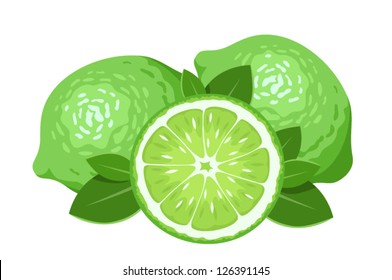 Three limes isolated on white. Vector illustration.