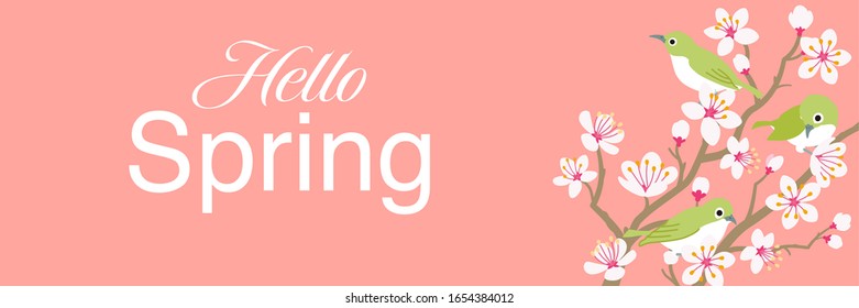 Three little birds perching on Cherry blossom twigs, banner ratio - included words "Hello spring"