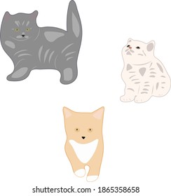 Three little cats kitties grey white orange. Vector illustration