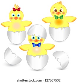 three little chicken in the egg shell