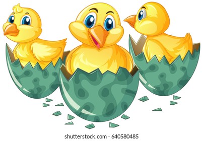 Ilustración de huevos para incubar de tres pollitos
